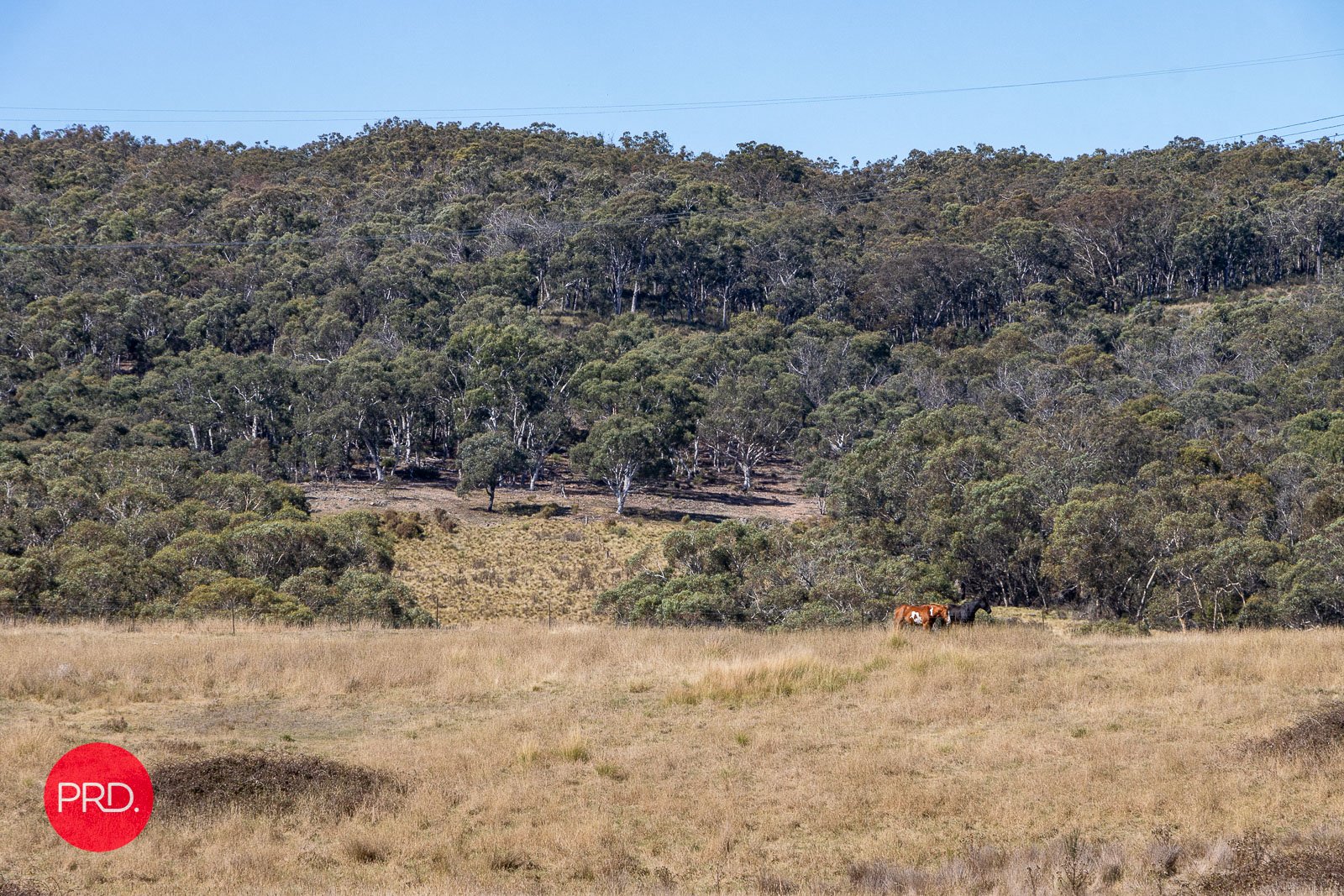 74 Summerhill Road BYWONG 28
