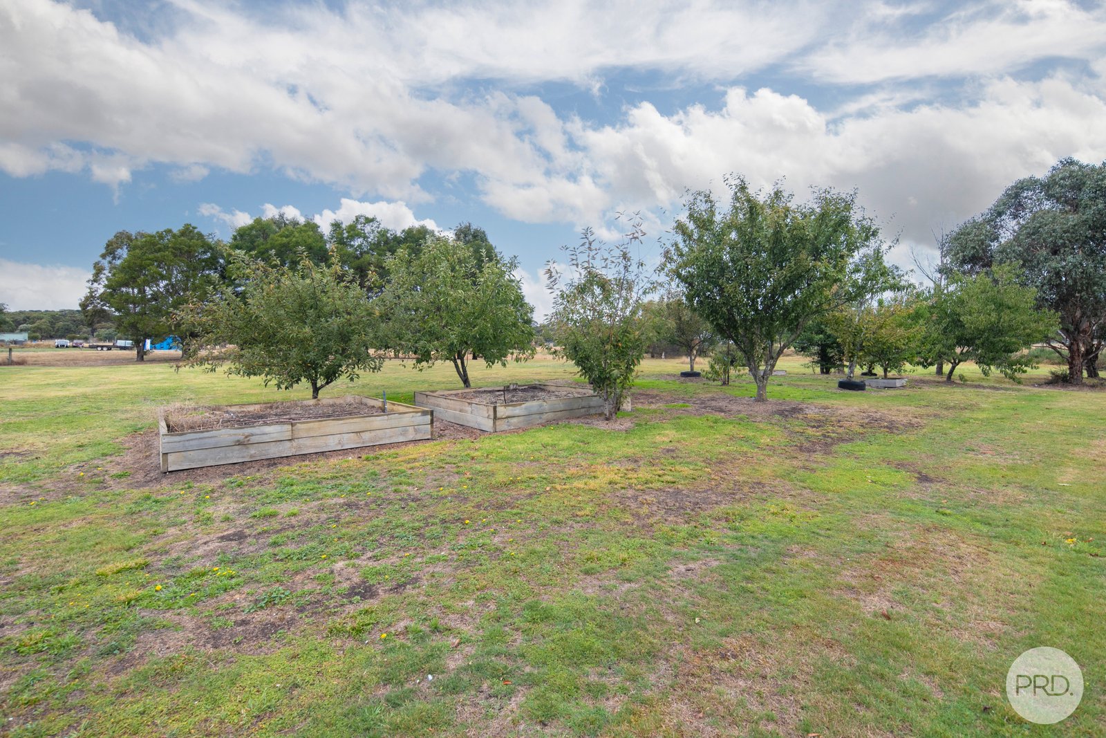 74 Taemore Close HADDON 19