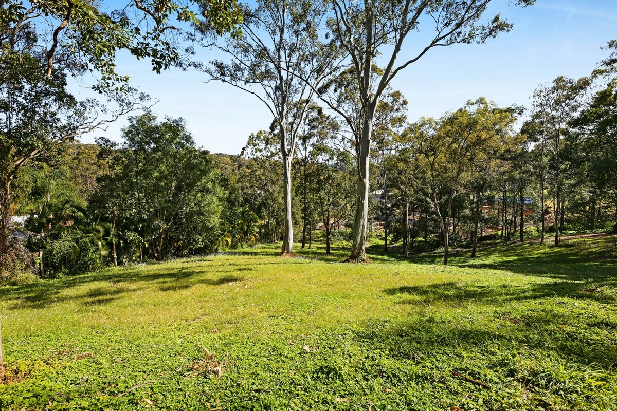 74 Trees Road Tallebudgera 1