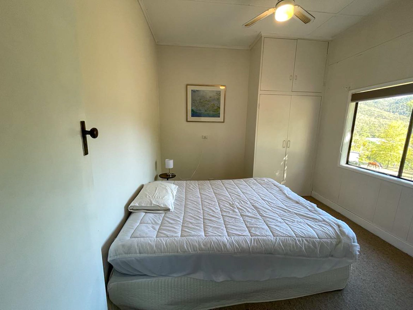 740 Mount Garland Road TOOMA 6