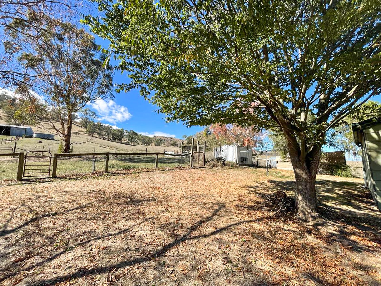 740 Mount Garland Road TOOMA 15