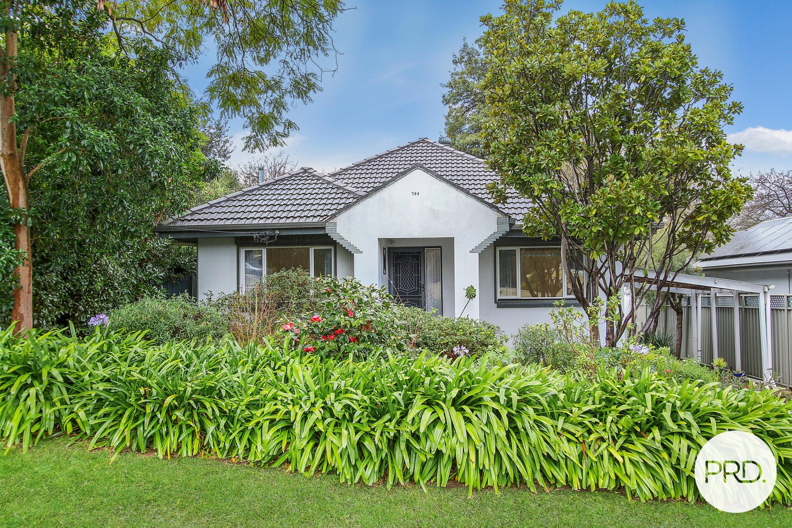 744 Sackville Street ALBURY 1