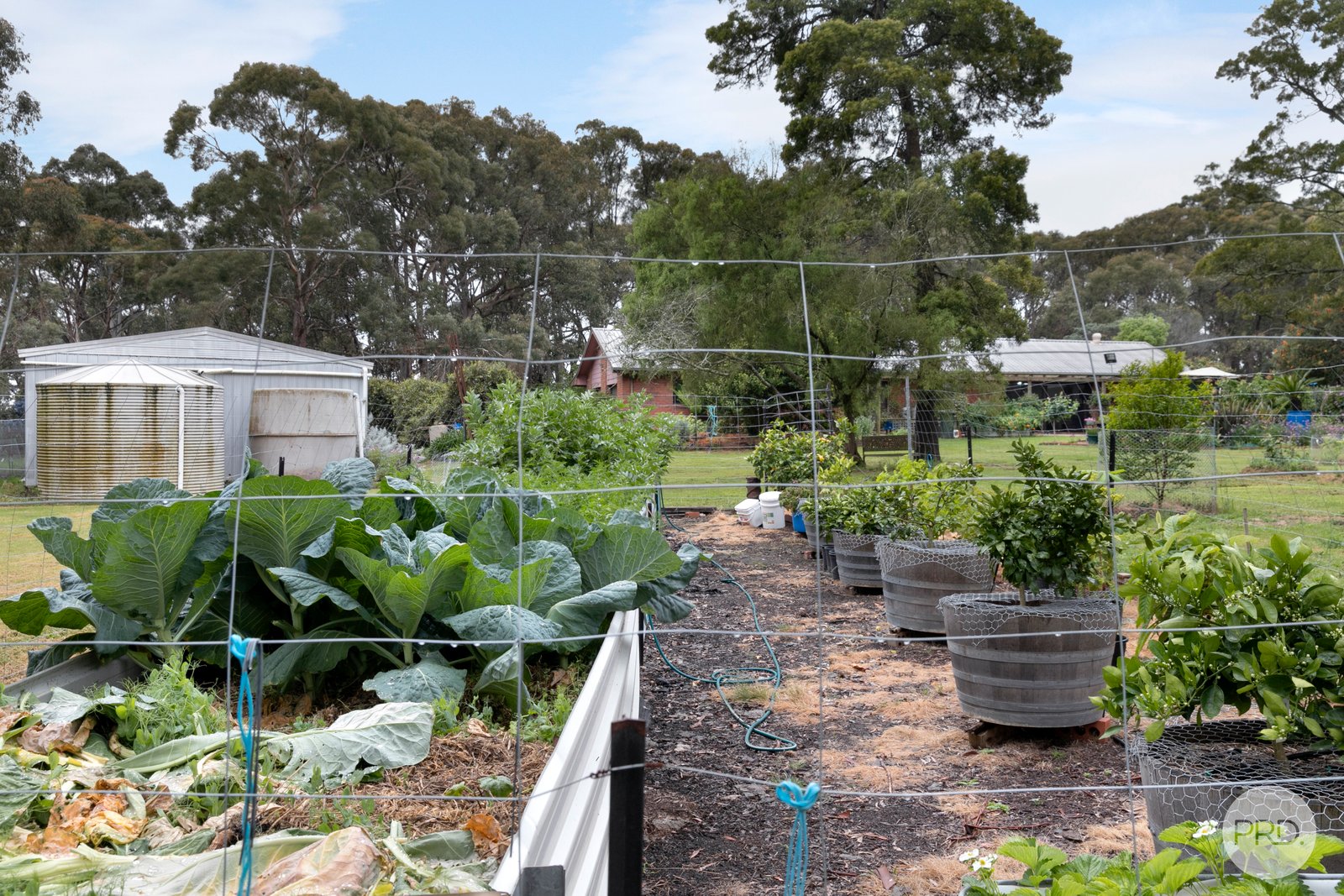 747 Smythesdale-Snake Valley Road HILLCREST 18