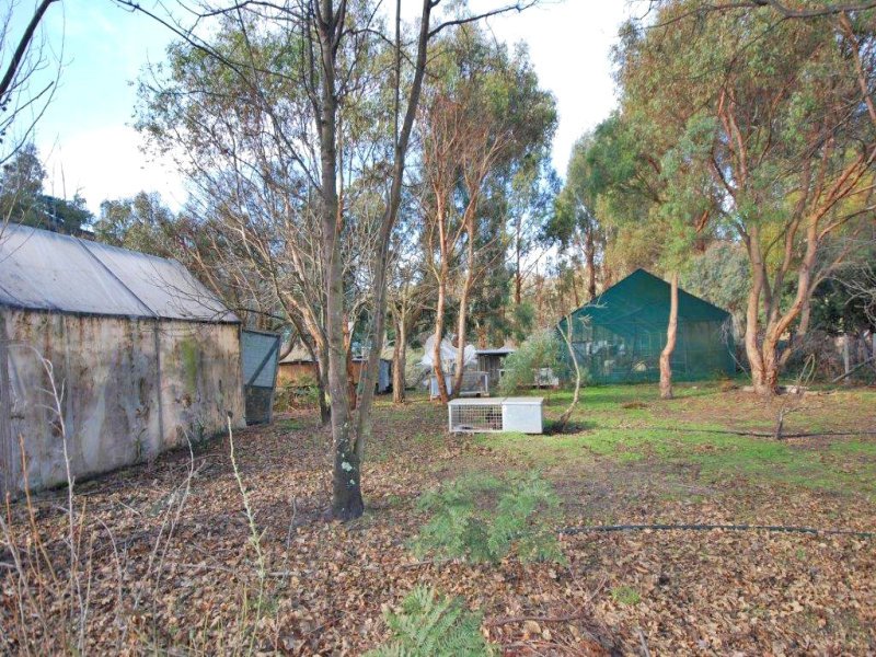 749 Marked Tree Road GRETNA 13