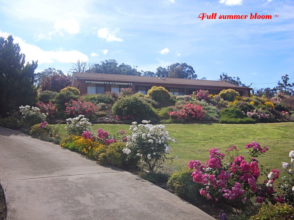 75 Bogong Street TUMBARUMBA 11