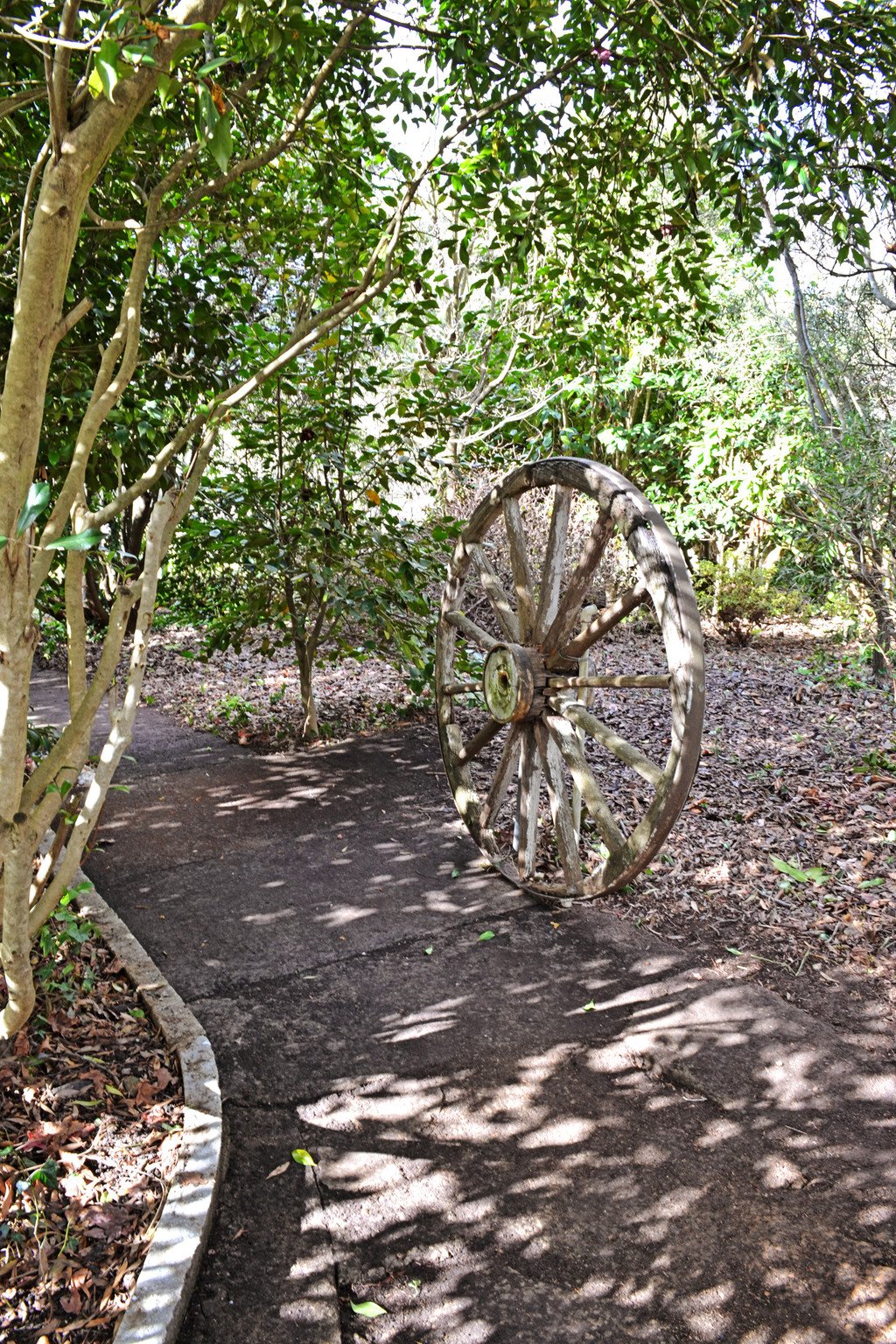 75 Bogong Street TUMBARUMBA 13