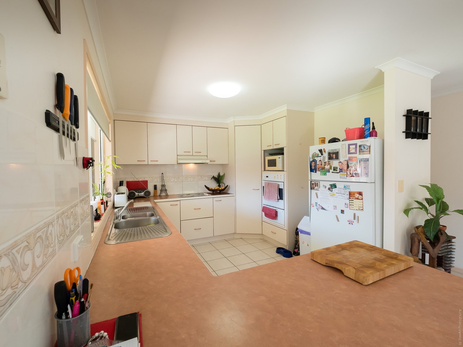 75 Bowerbird Avenue ELI WATERS 15