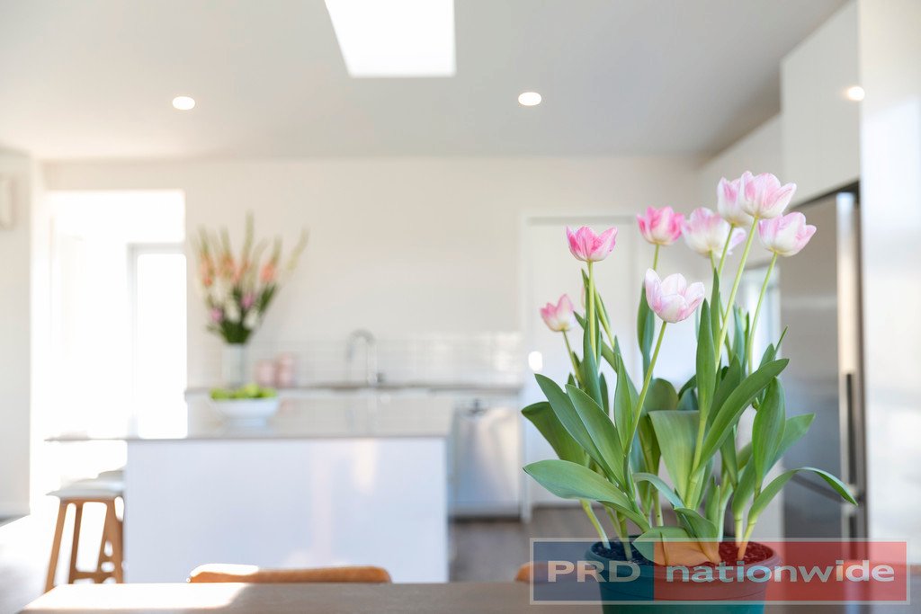 75 Canopy Avenue ALFREDTON 12