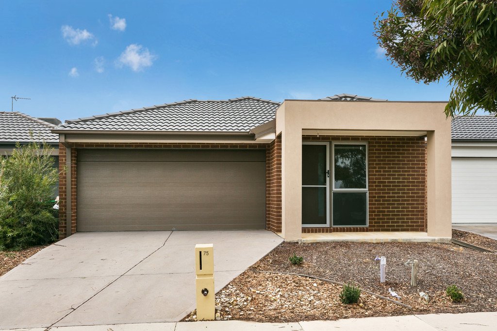 75 Evergreen Boulevard JACKASS FLAT 1