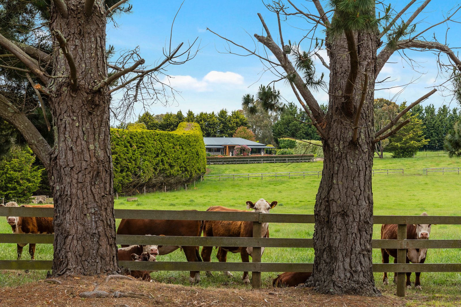 Real Estate and Property in 75 Garth Road, Carlsruhe, VIC