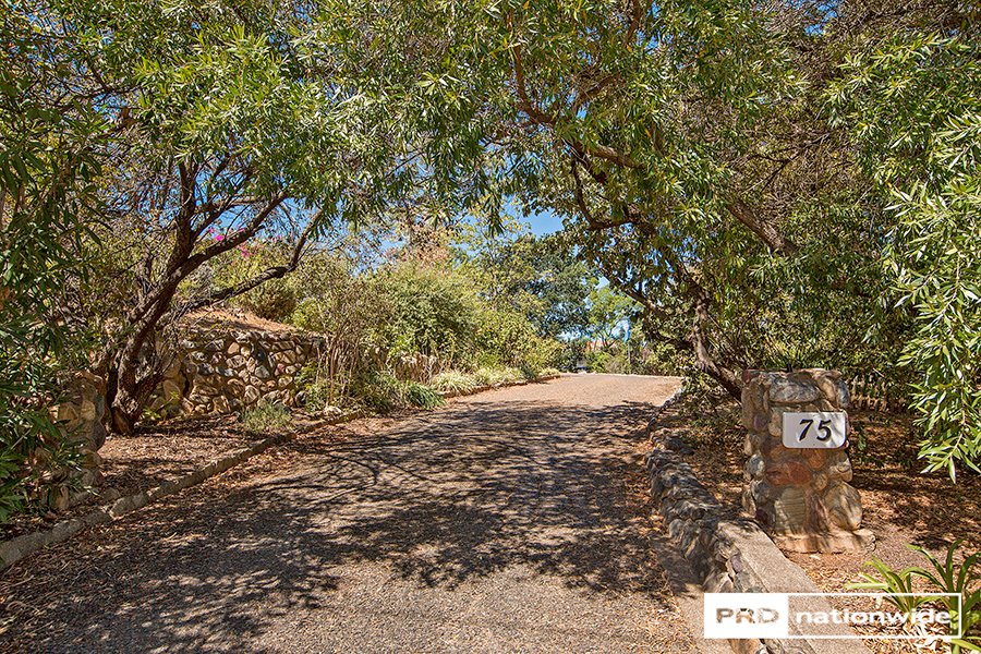 75 Hill Street EAST TAMWORTH 24