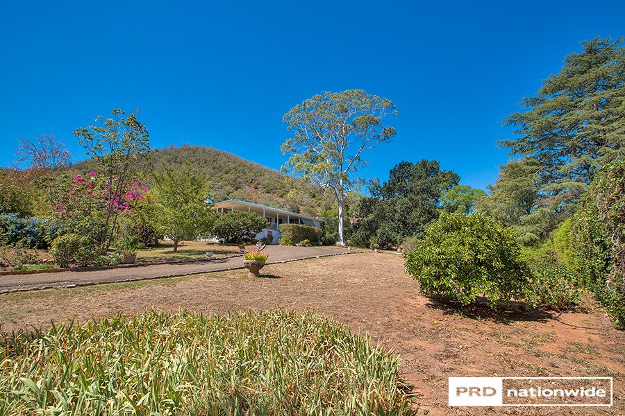 75 Hill Street TAMWORTH 25
