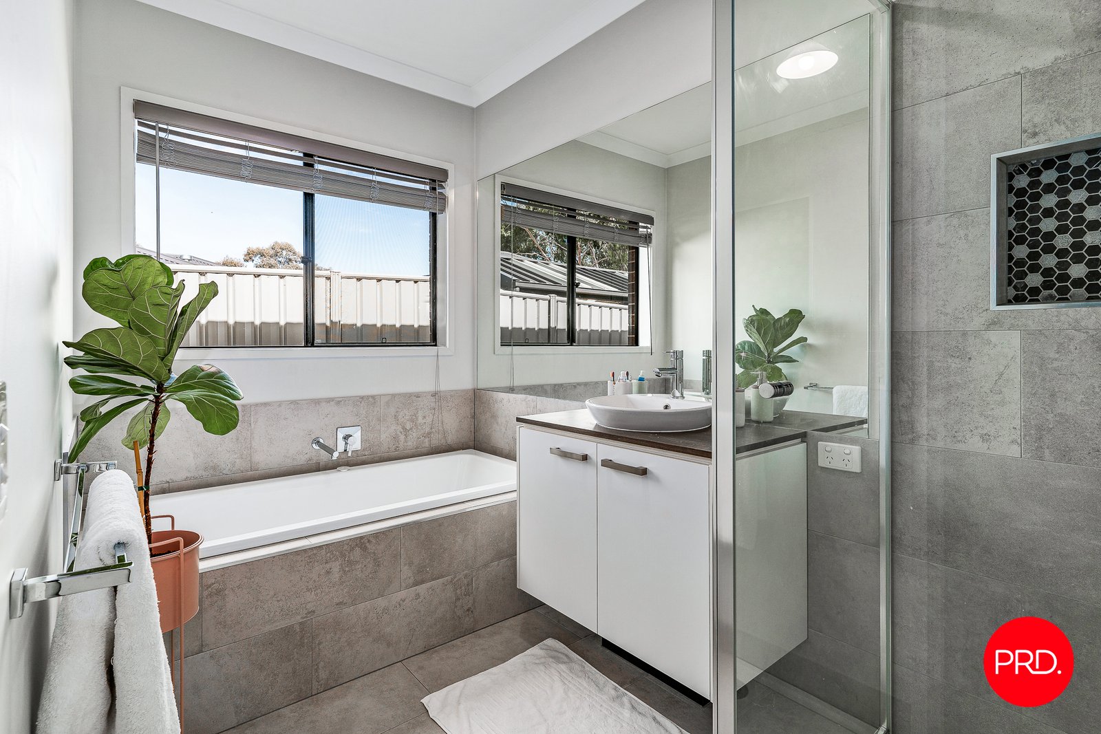 75 Kennewell Street WHITE HILLS 17