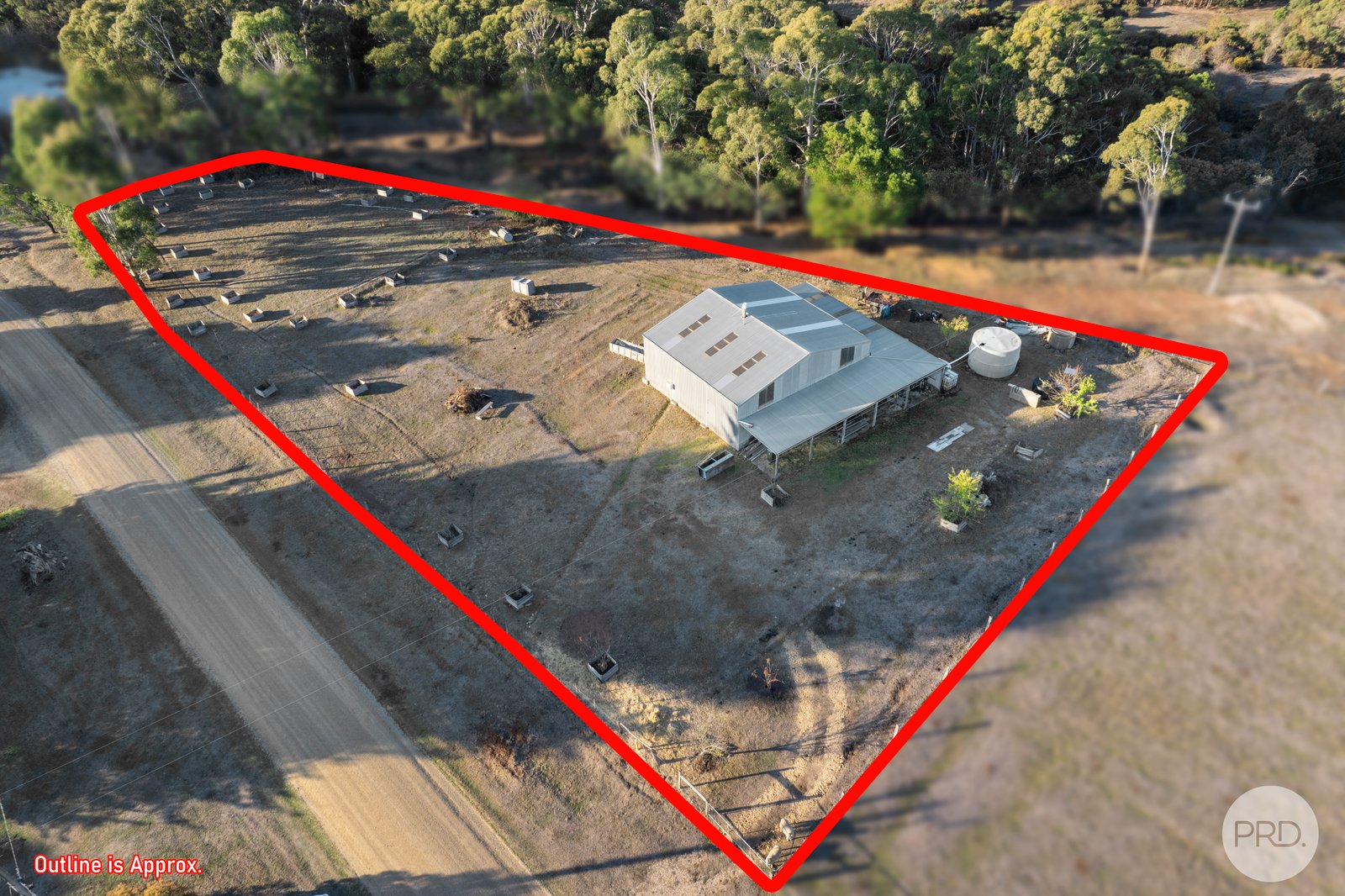 75 Petticoat Road CABBAGE TREE 1