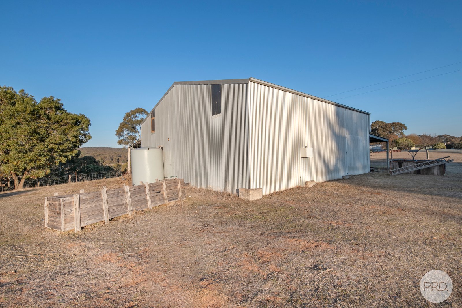 75 Petticoat Road CABBAGE TREE 5