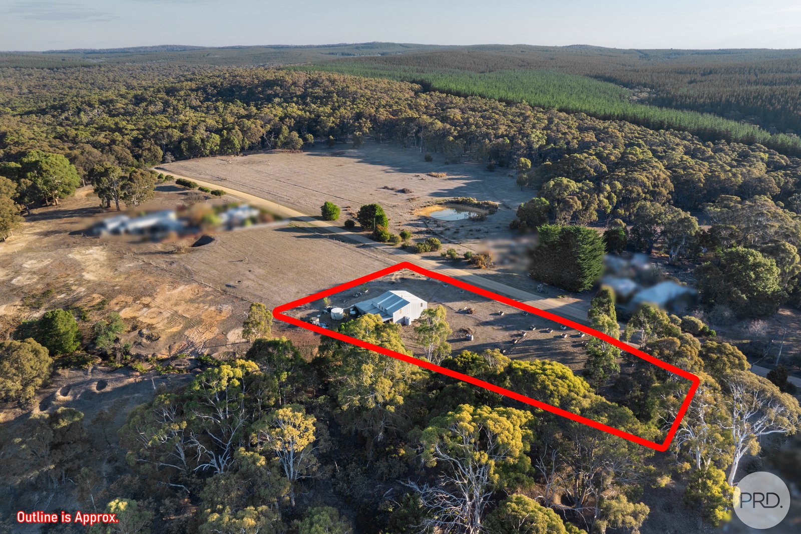 75 Petticoat Road CABBAGE TREE 7