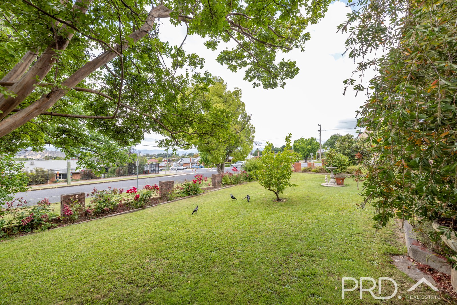 75 Simpson Street TUMUT 17