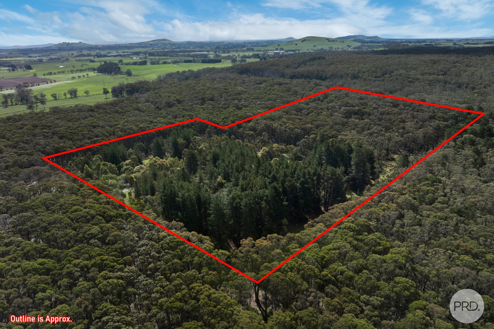 75 Stringybark Track MOLLONGGHIP 1