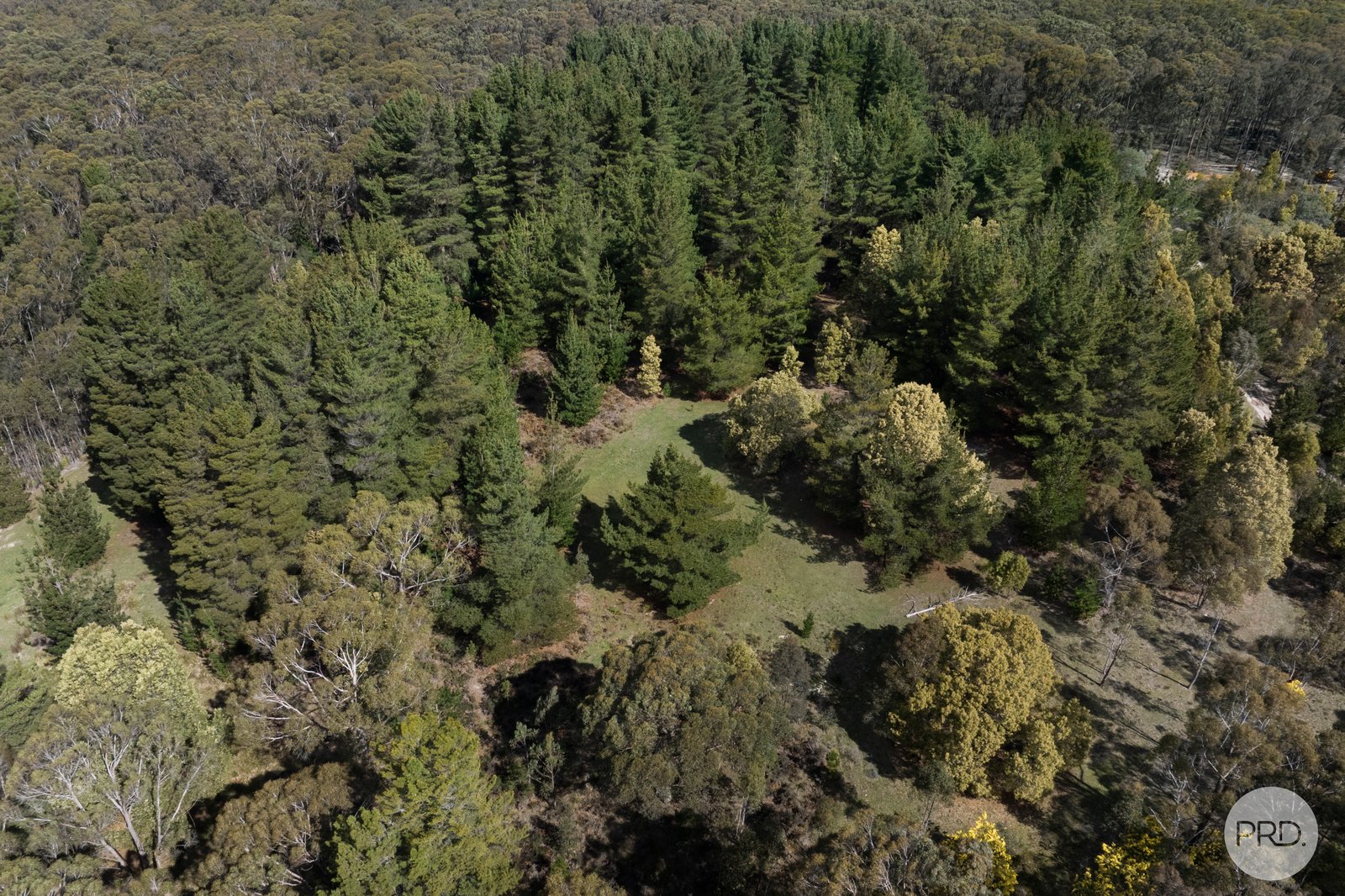 75 Stringybark Track MOLLONGGHIP 3