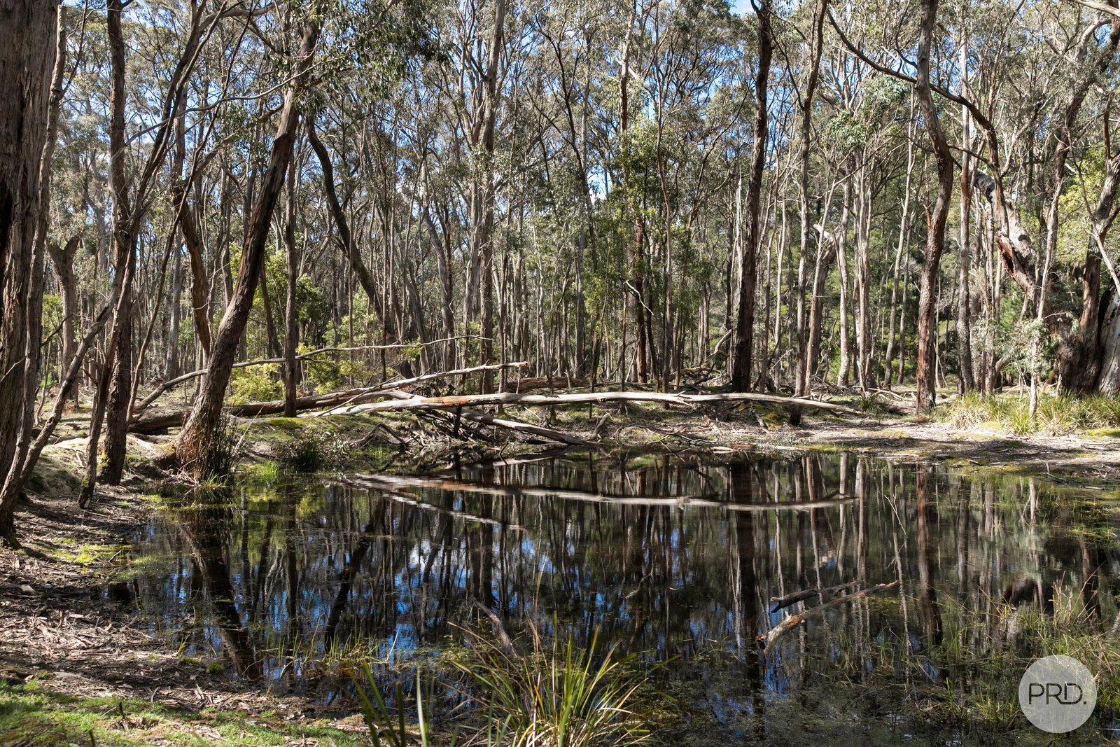 75 Stringybark Track MOLLONGGHIP 5