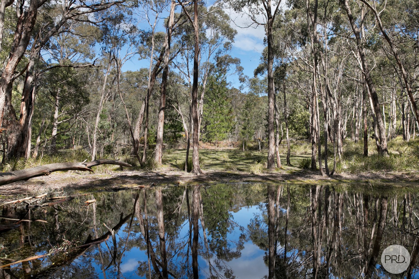 75 Stringybark Track MOLLONGGHIP 6