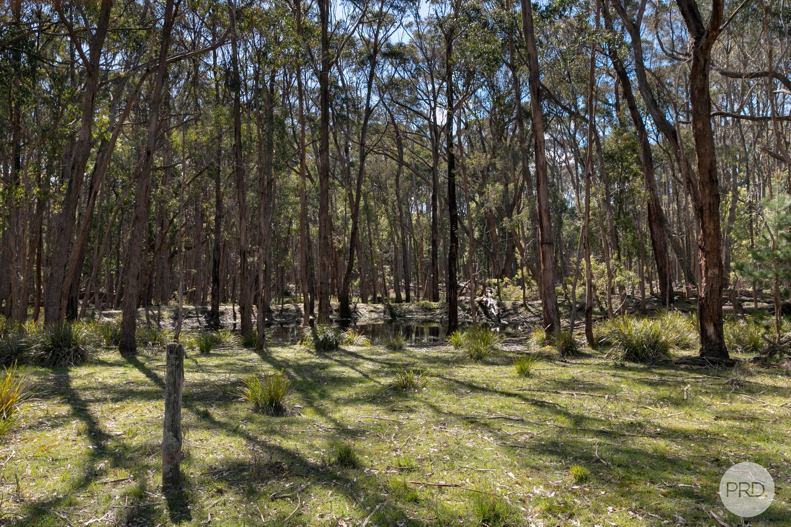 75 Stringybark Track MOLLONGGHIP 7