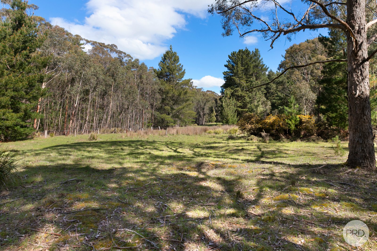 75 Stringybark Track MOLLONGGHIP 8