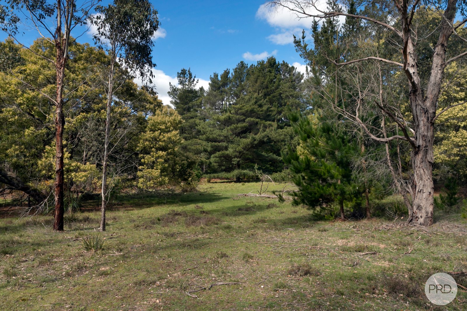 75 Stringybark Track MOLLONGGHIP 9