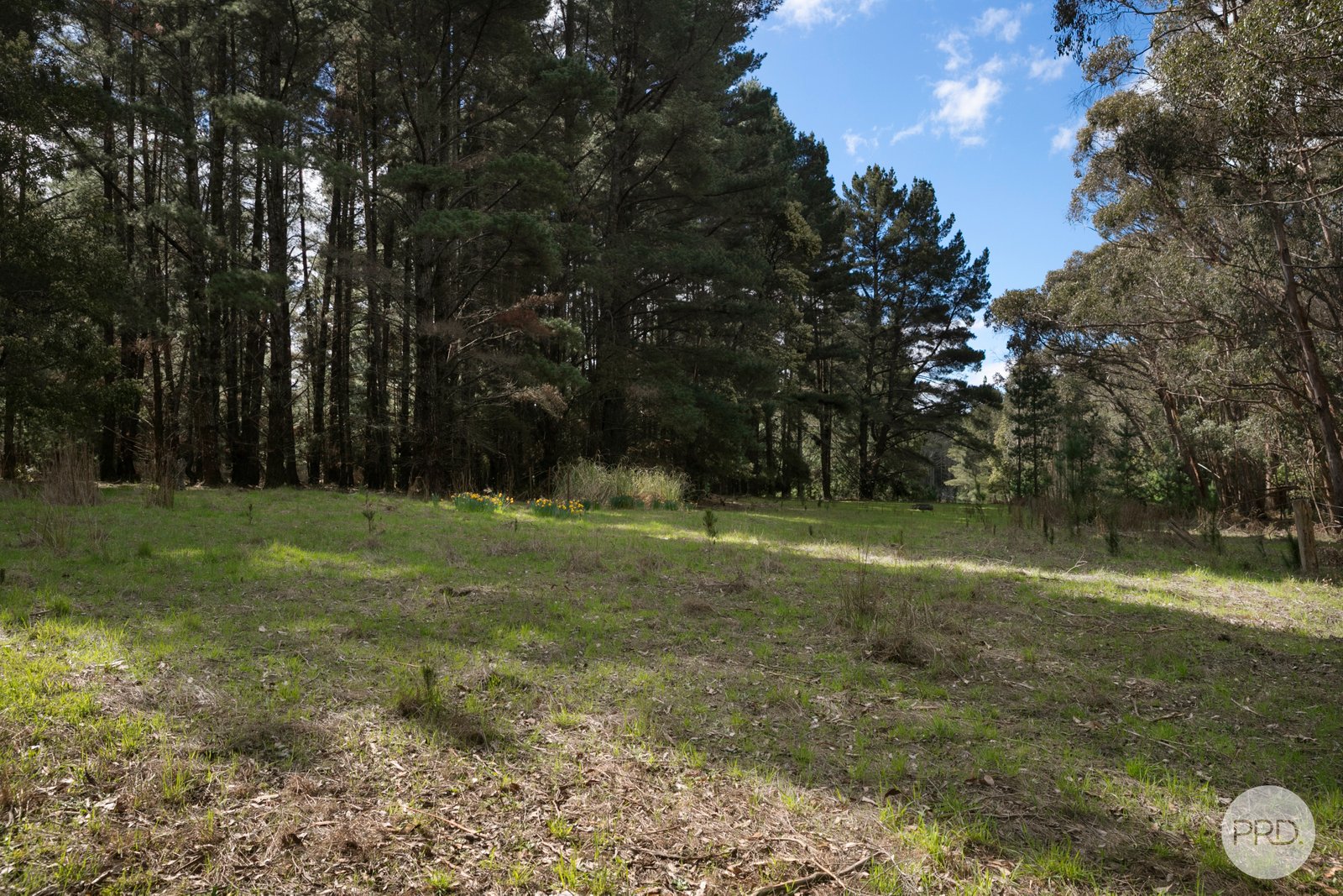 75 Stringybark Track MOLLONGGHIP 11