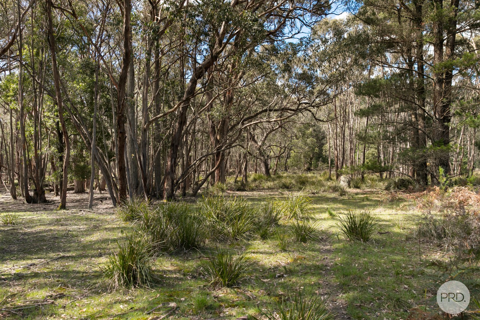 75 Stringybark Track MOLLONGGHIP 12
