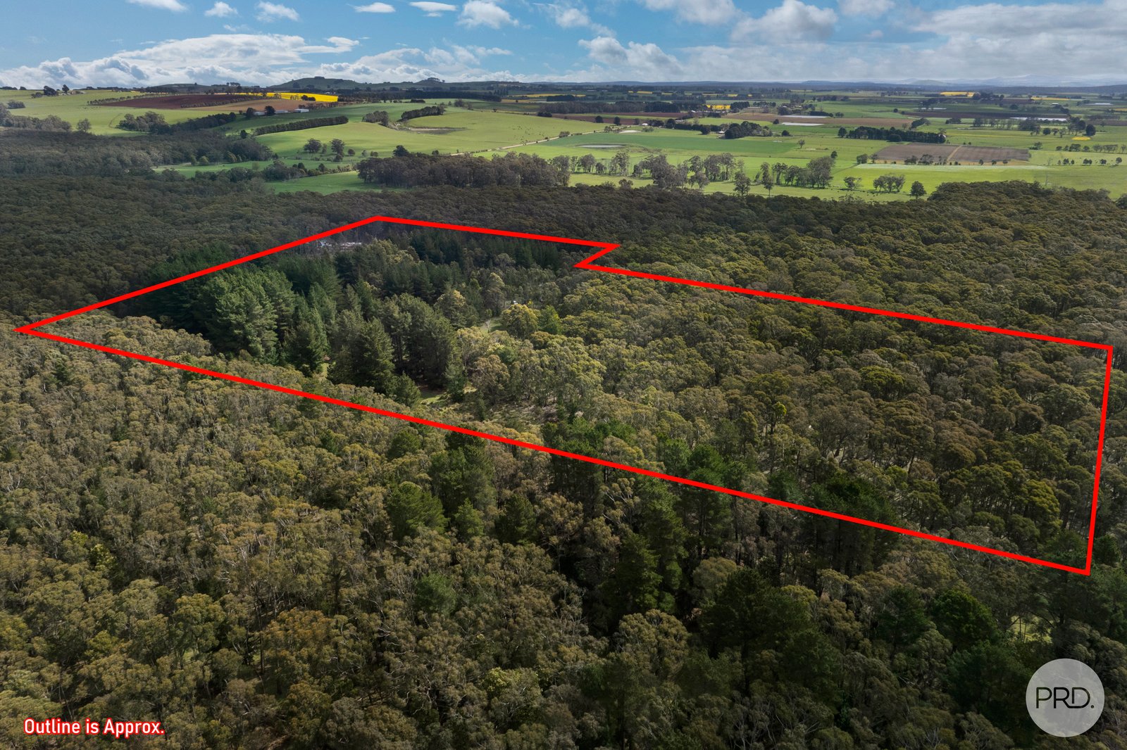 75 Stringybark Track MOLLONGGHIP 14