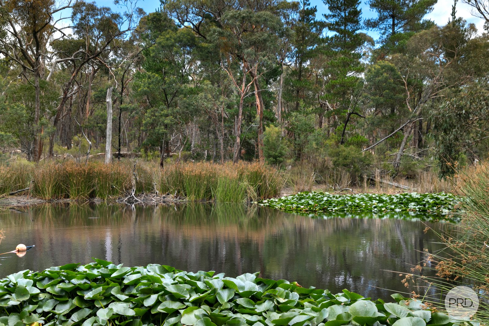 75 Walshes Road DURHAM LEAD 12