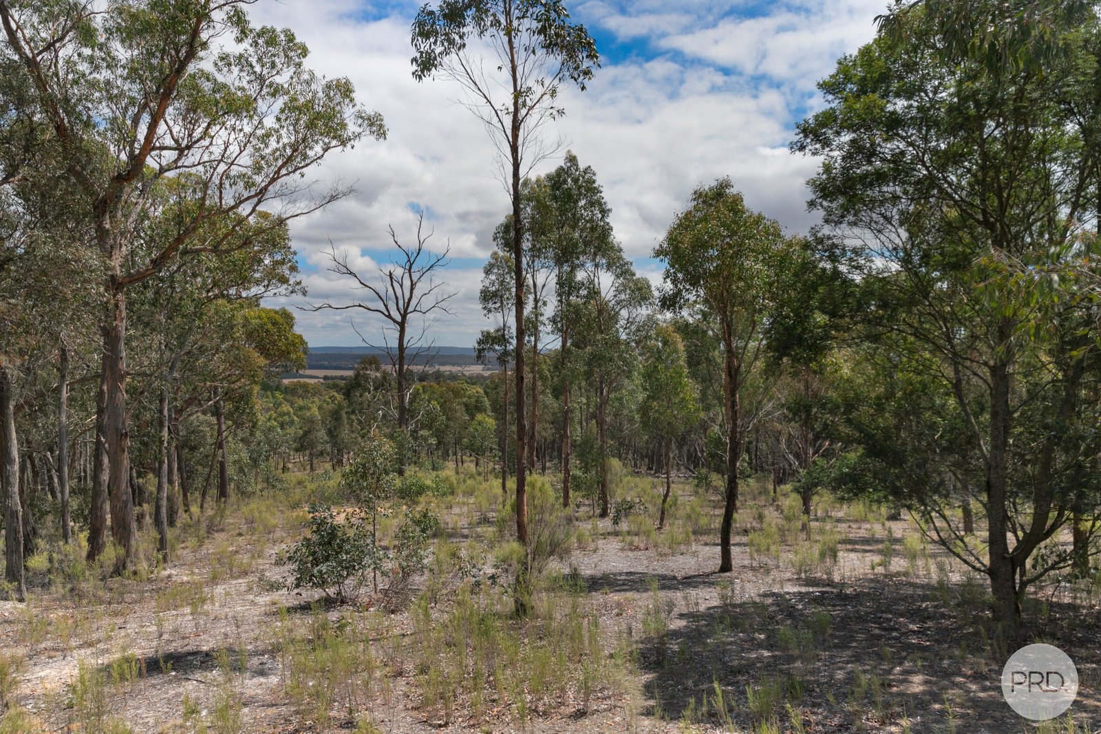 75 Walshes Road DURHAM LEAD 14