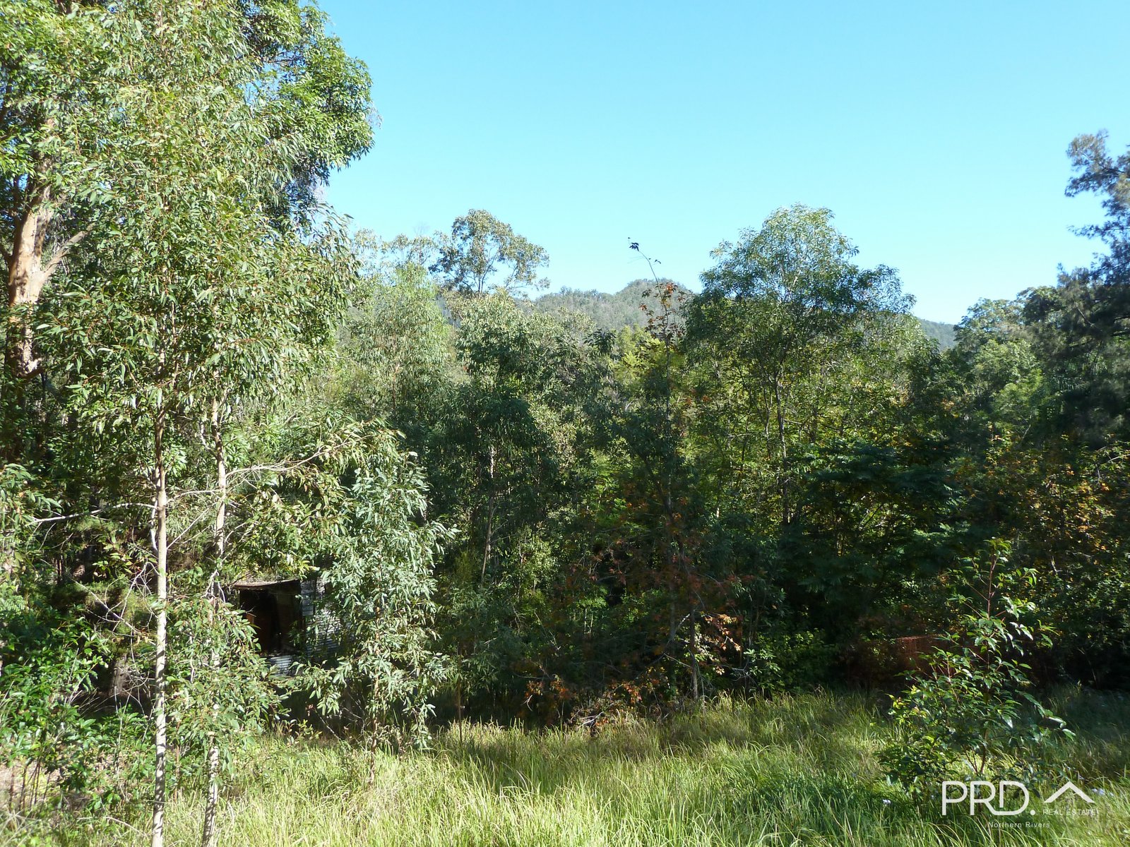 750 Roseberry Creek Road KYOGLE 6