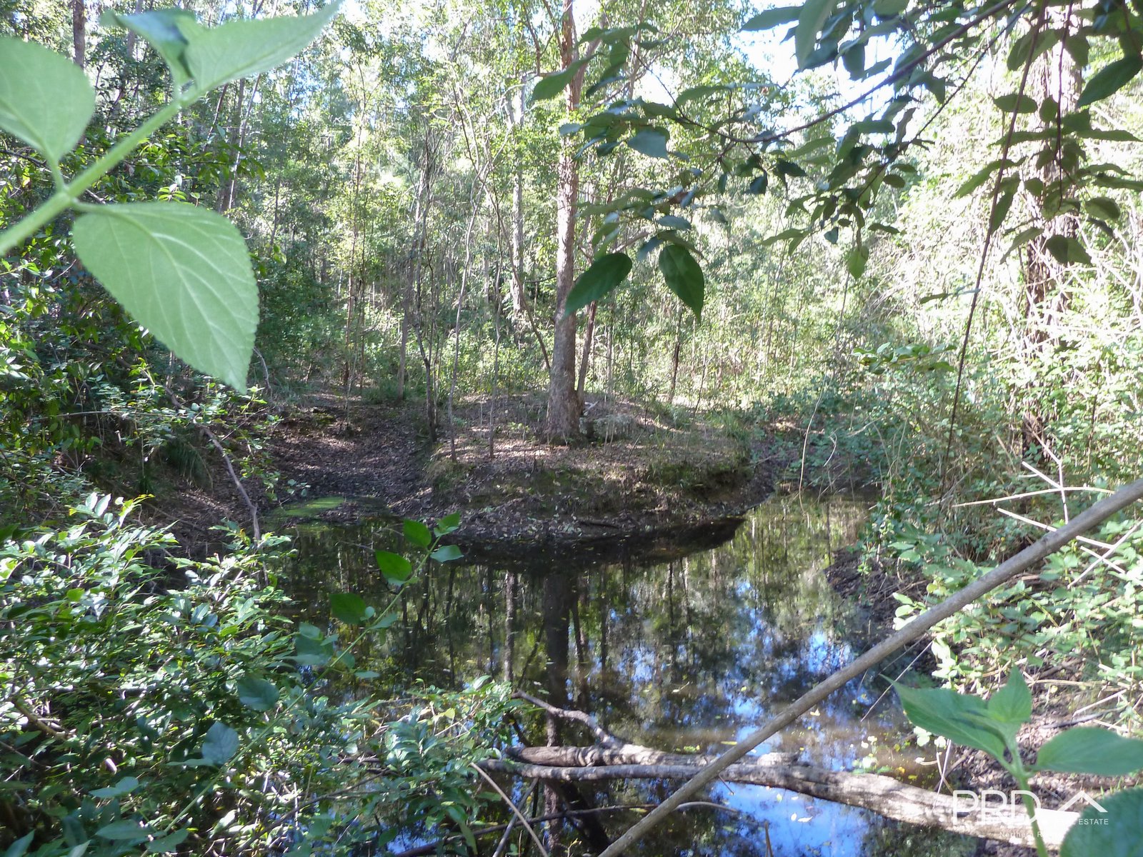 750 Roseberry Creek Road KYOGLE 15
