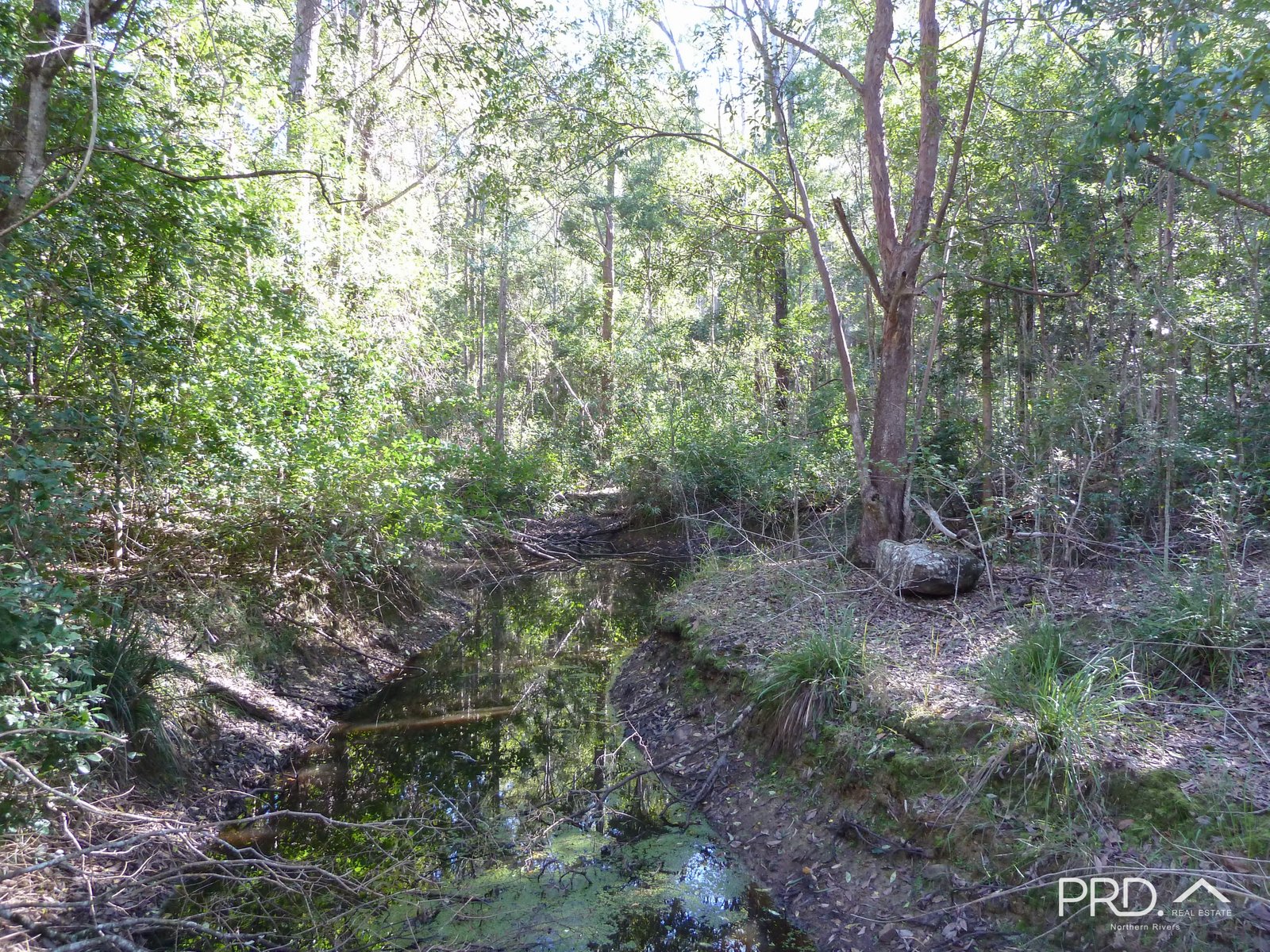 750 Roseberry Creek Road KYOGLE 16