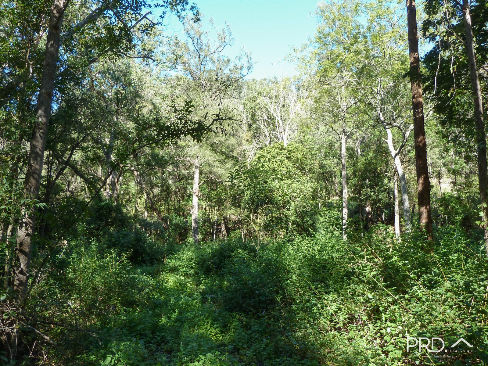 750 Roseberry Creek Road KYOGLE 19