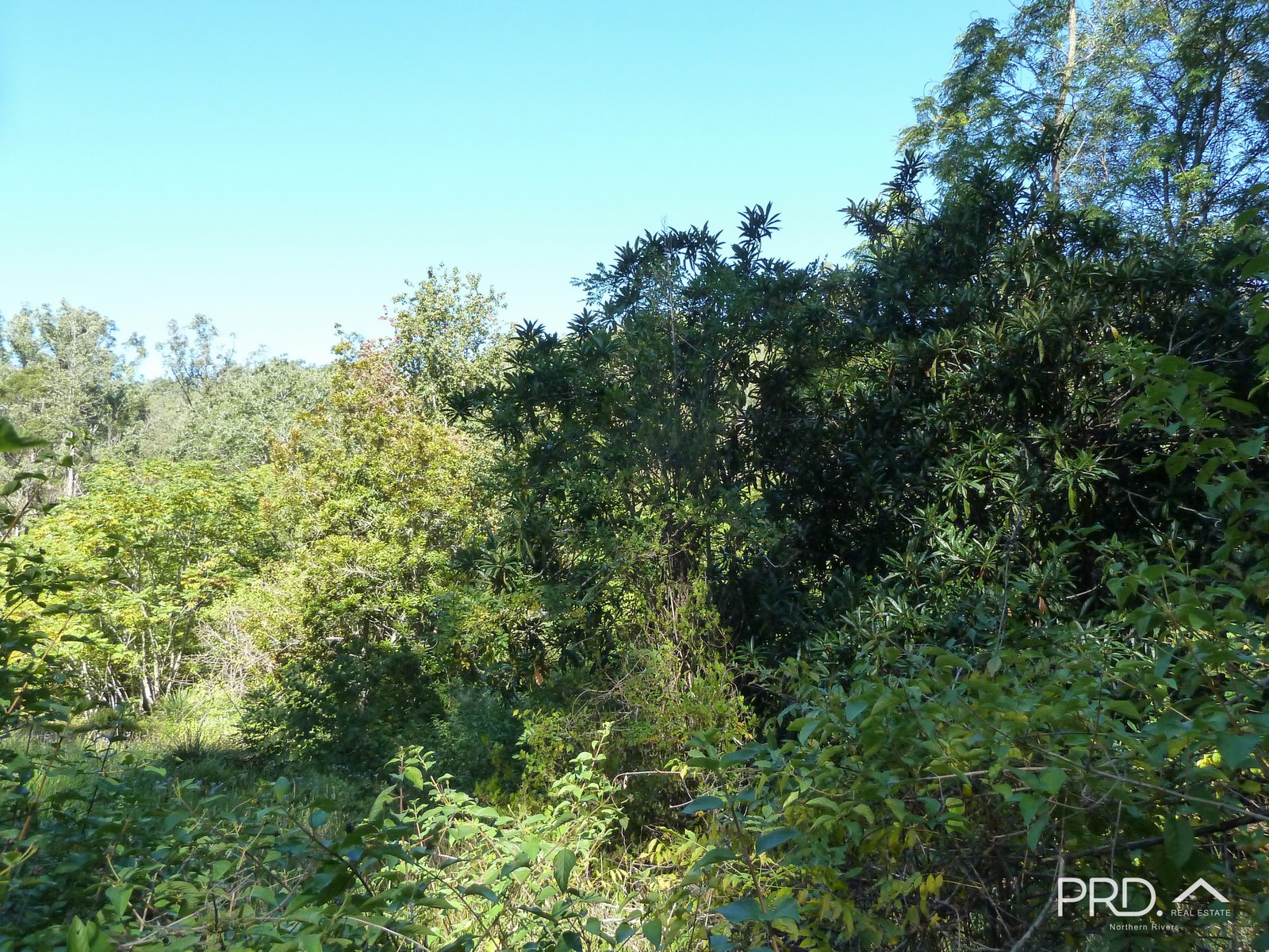 750 Roseberry Creek Road KYOGLE 21
