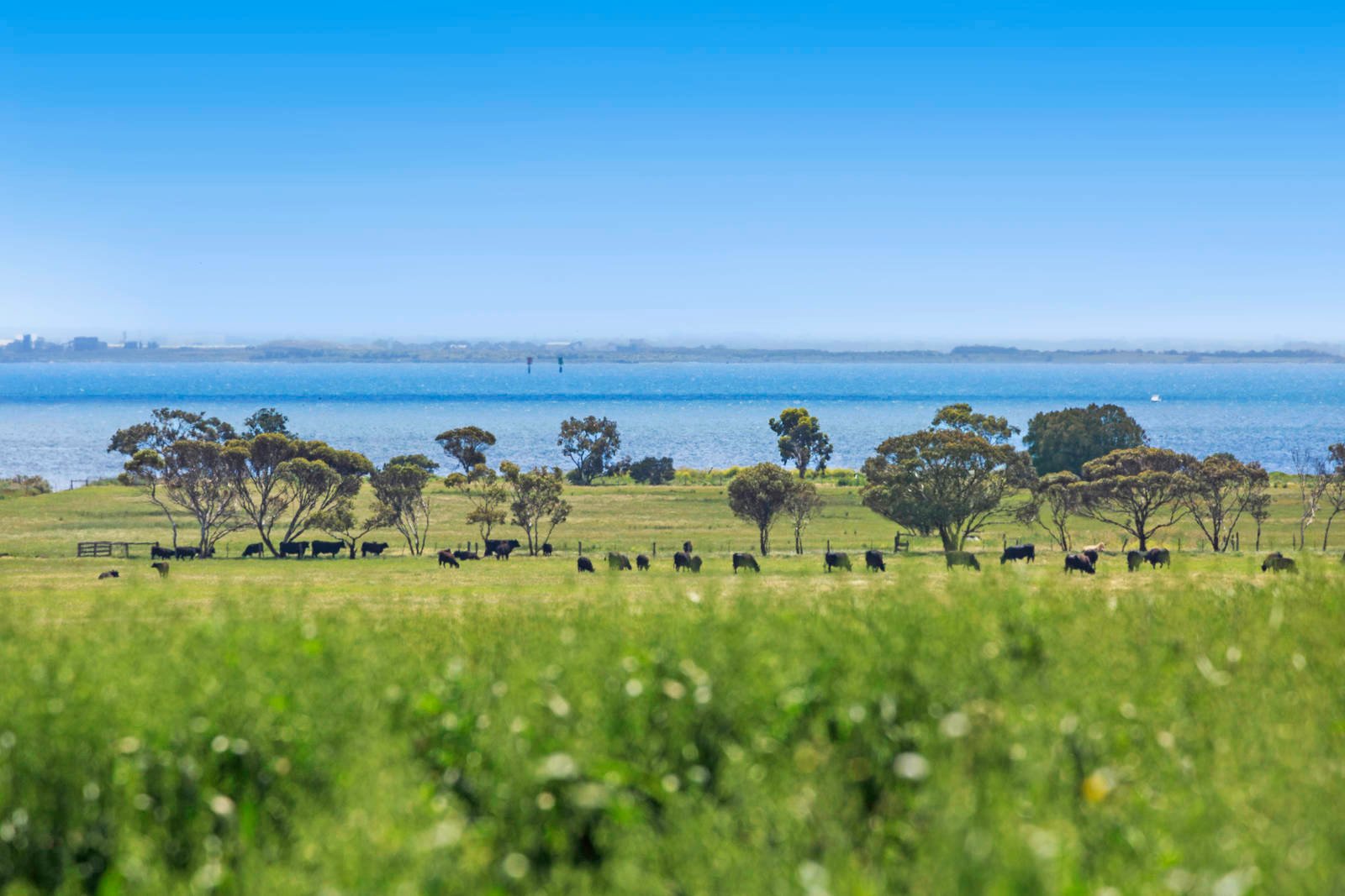 Real Estate and Property in 751-789 Portarlington Road, Leopold, VIC