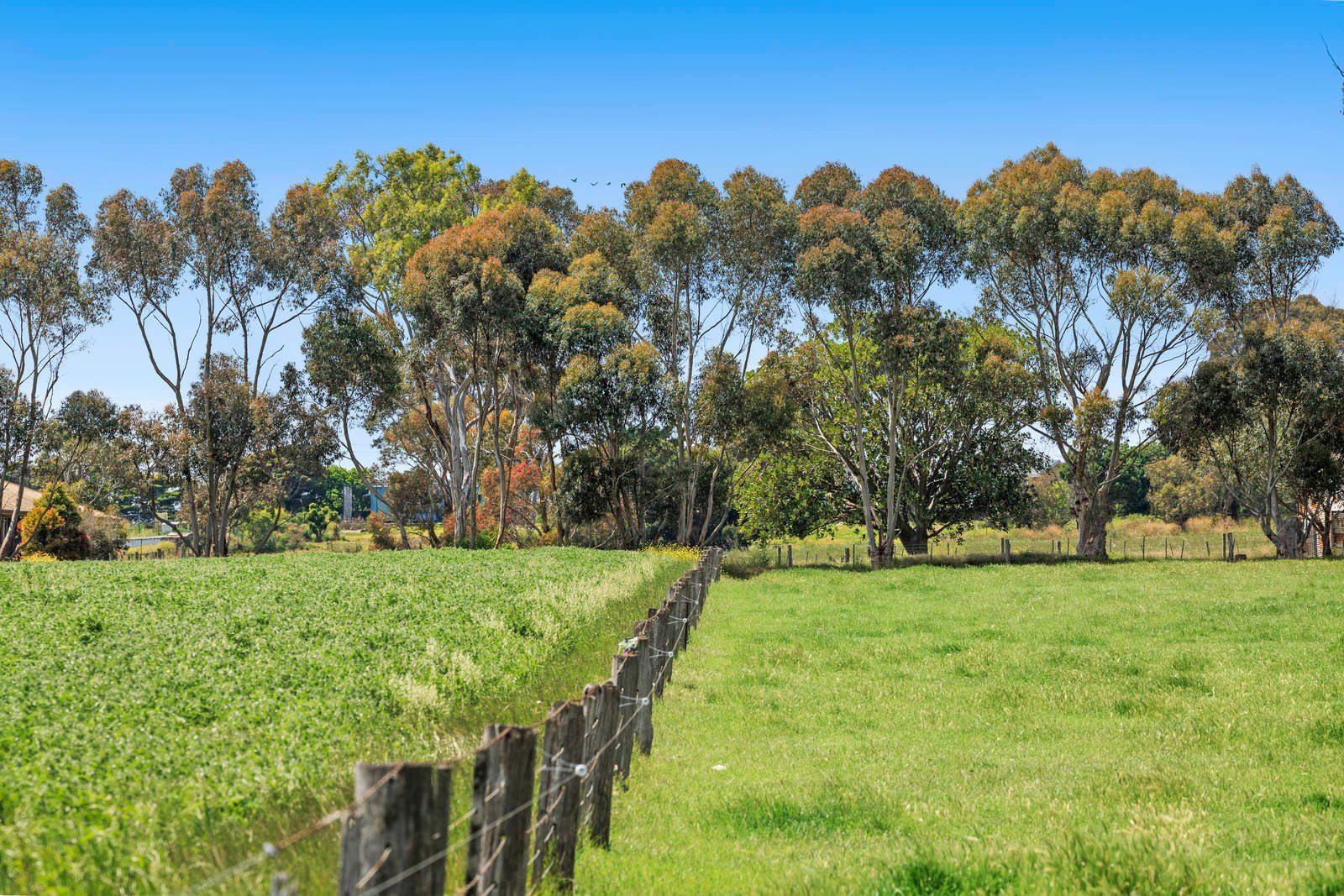 Real Estate and Property in 751-789 Portarlington Road, Leopold, VIC