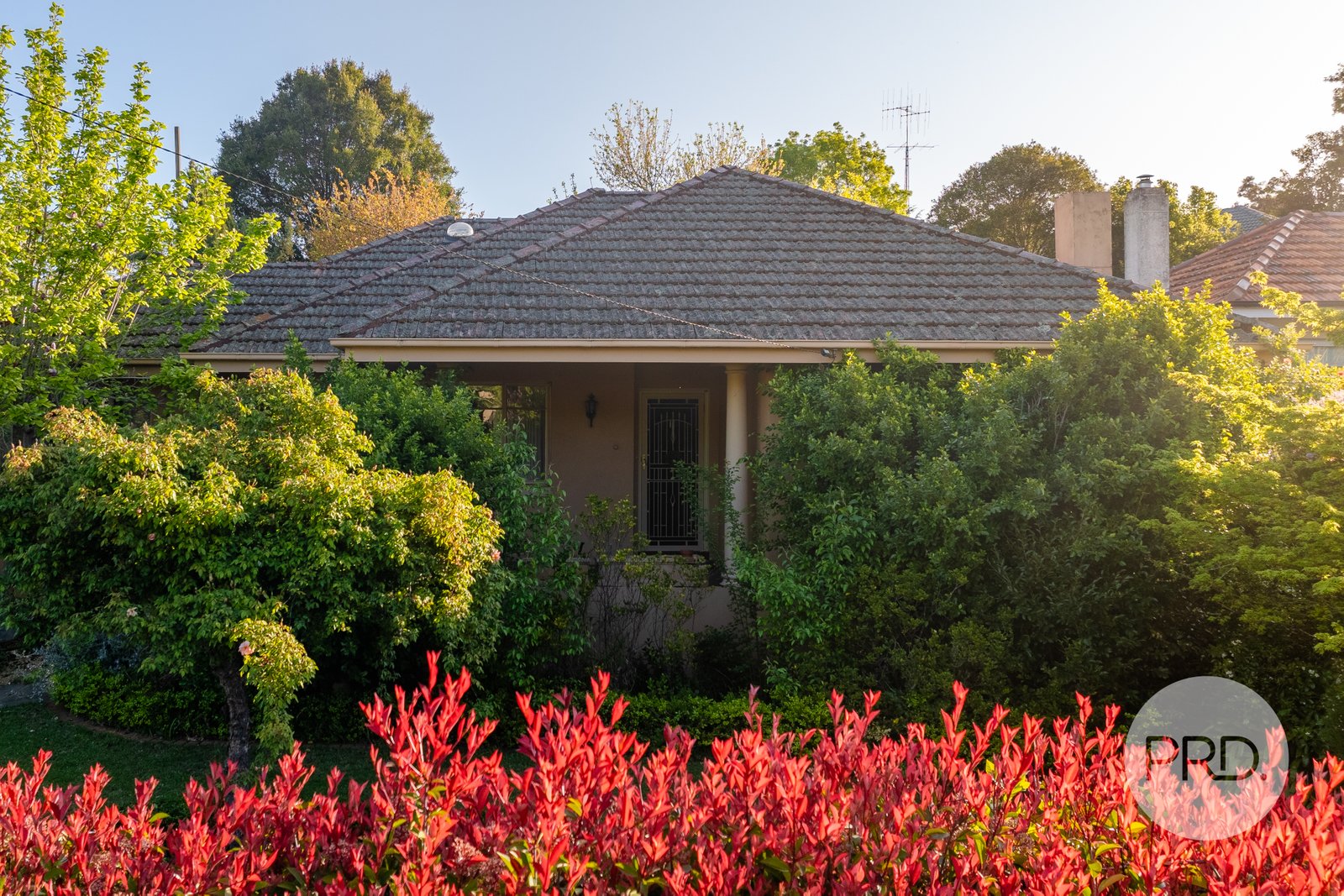 751 Forrest Hill Avenue ALBURY 1