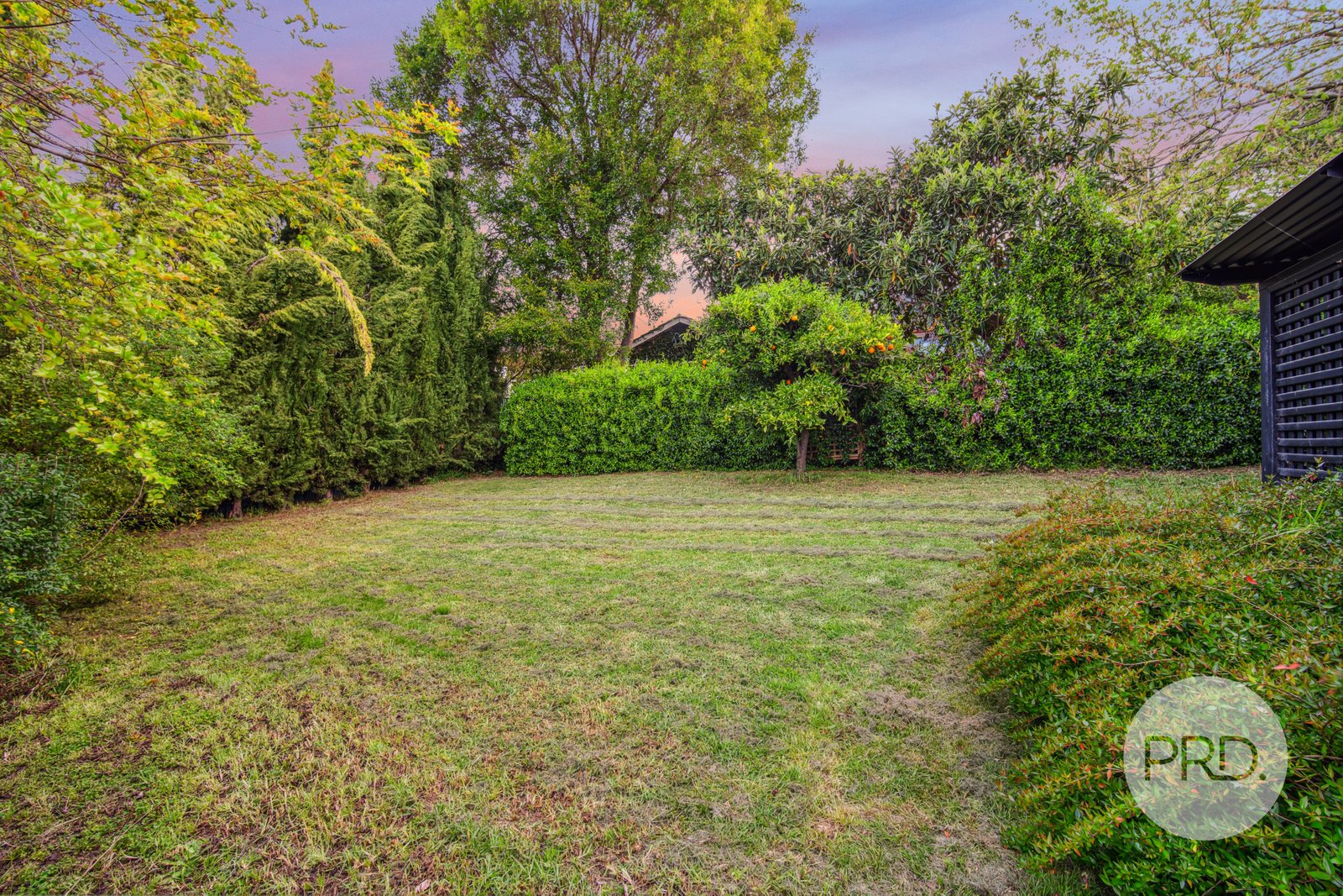 751 Forrest Hill Avenue ALBURY 14
