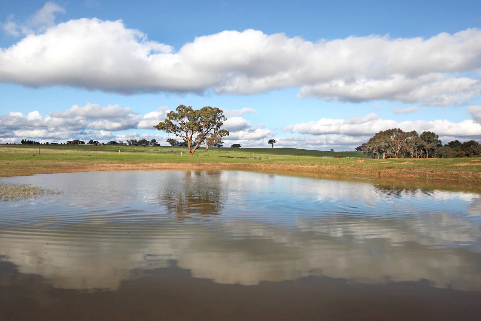 Real Estate and Property in 753 Mia Mia - Derrinal Road, Heathcote, VIC