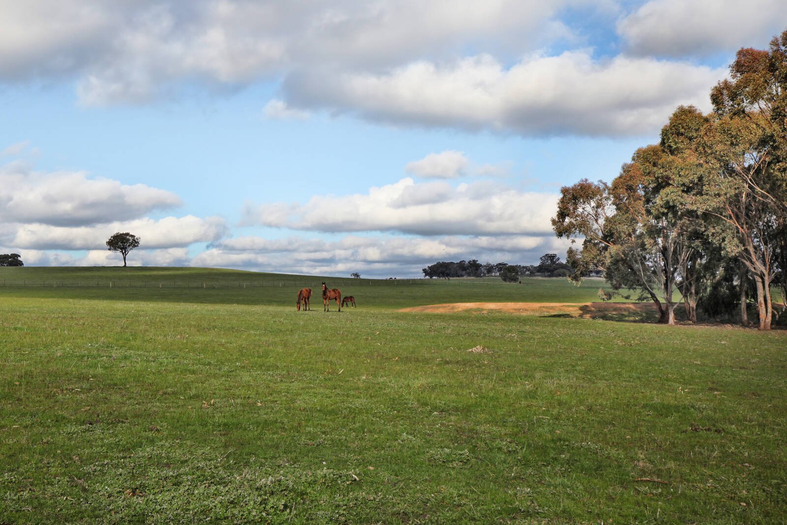 Real Estate and Property in 753 Mia Mia - Derrinal Road, Heathcote, VIC