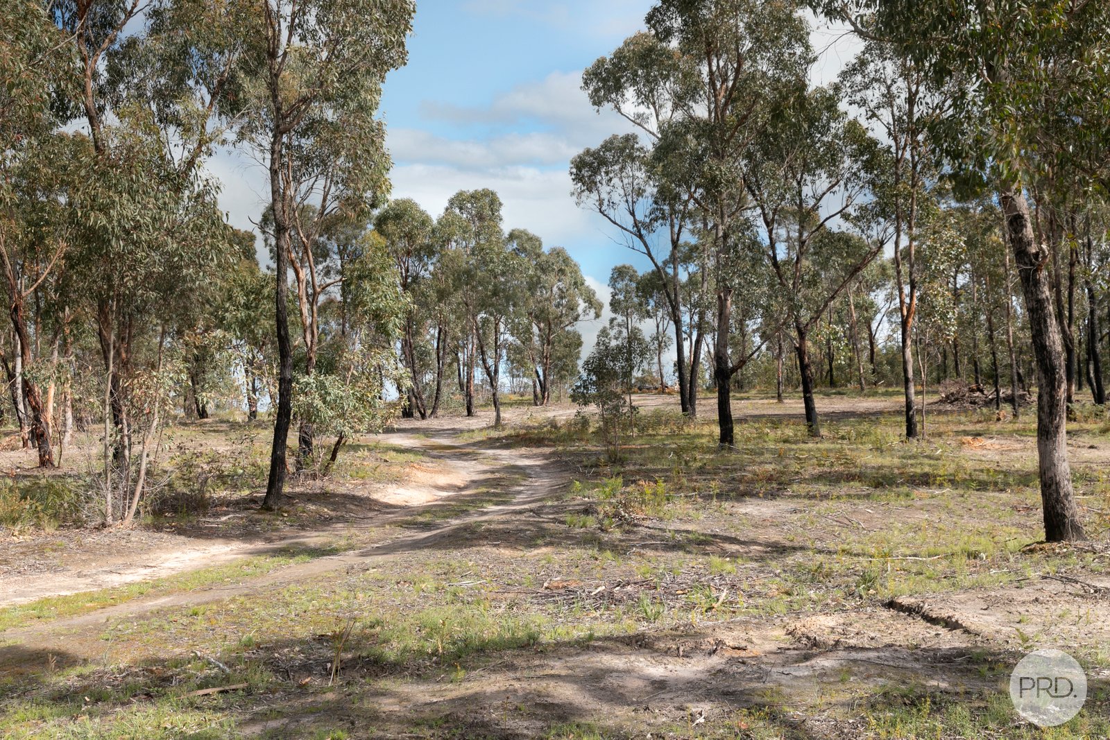 755 Paynes Bridge Road DEREEL 2