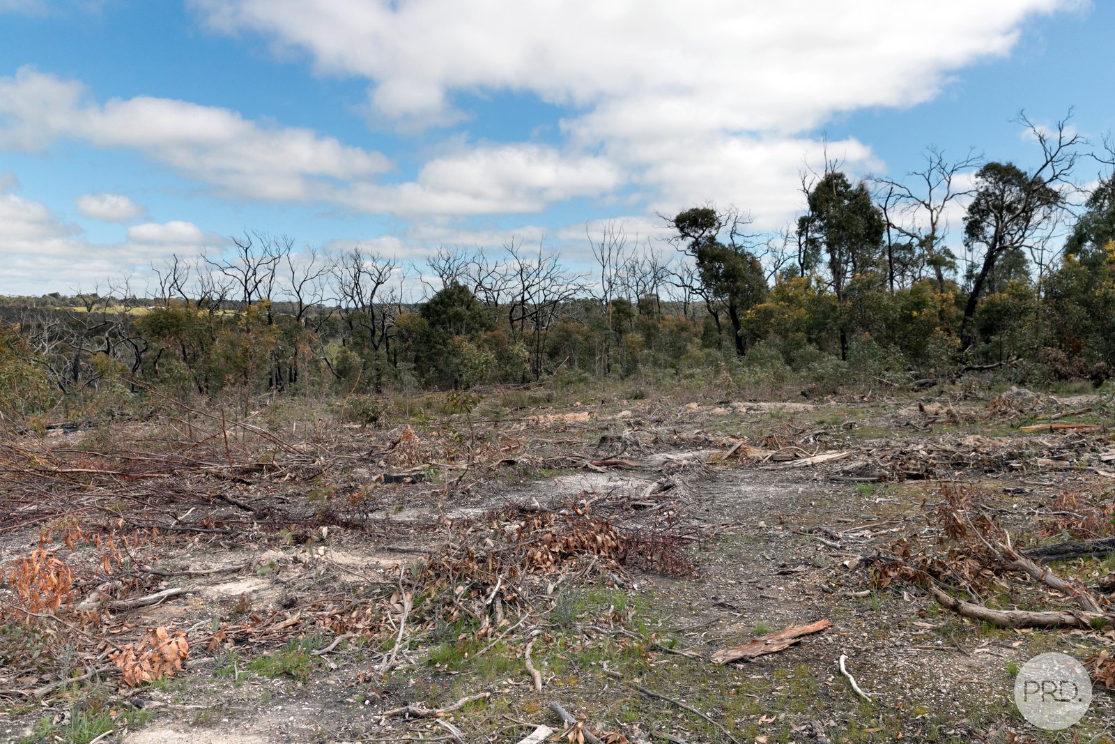 755 Paynes Bridge Road DEREEL 6