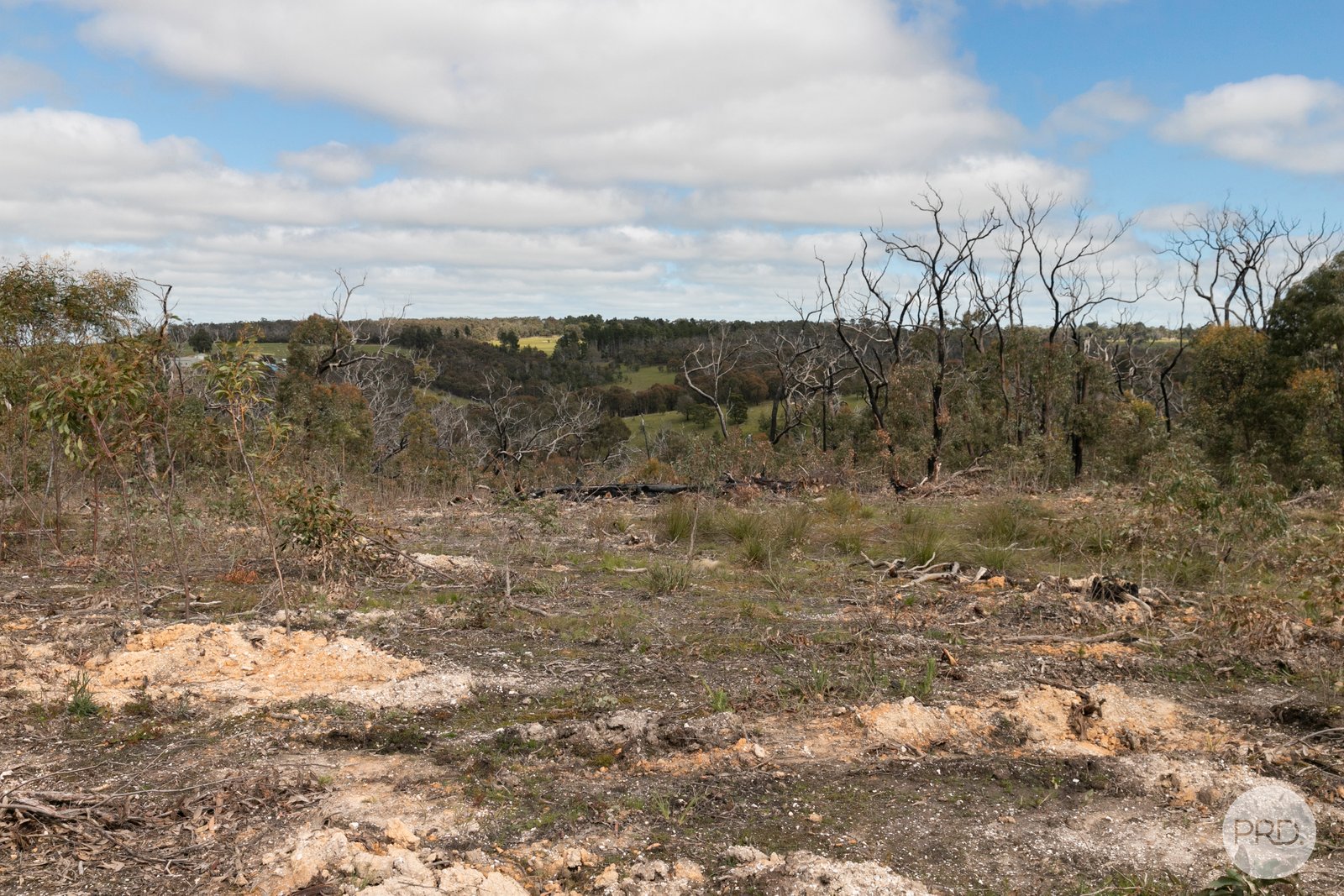 755 Paynes Bridge Road DEREEL 7