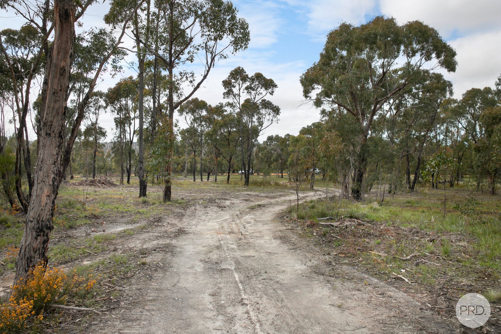 755 Paynes Bridge Road DEREEL 8