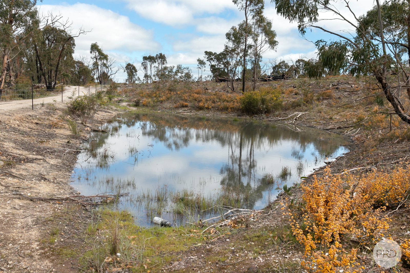 755 Paynes Bridge Road DEREEL 9