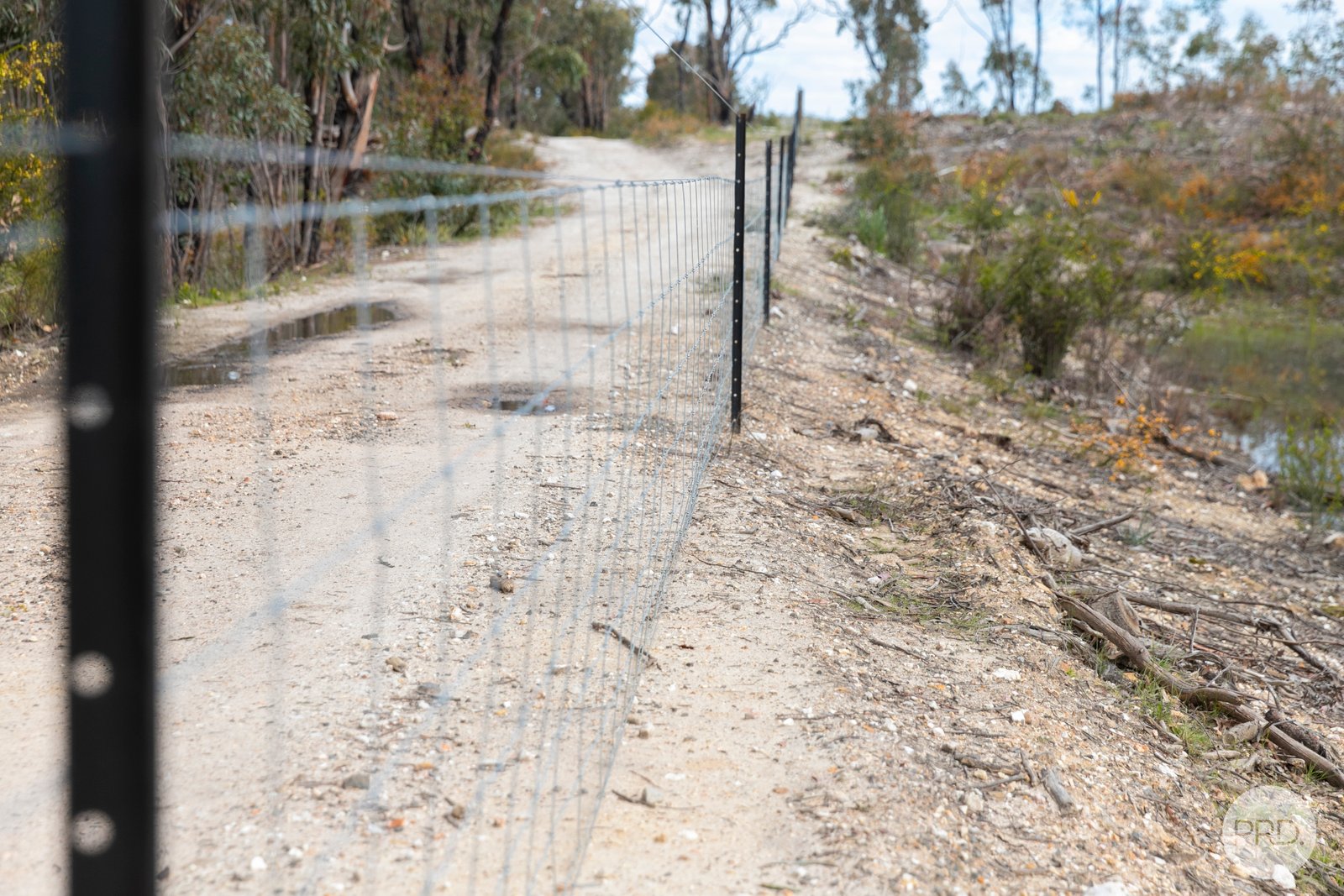 755 Paynes Bridge Road DEREEL 10